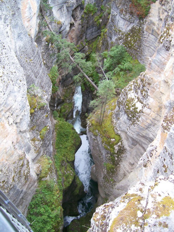 This image has an empty alt attribute; its file name is 100_0490.jpg