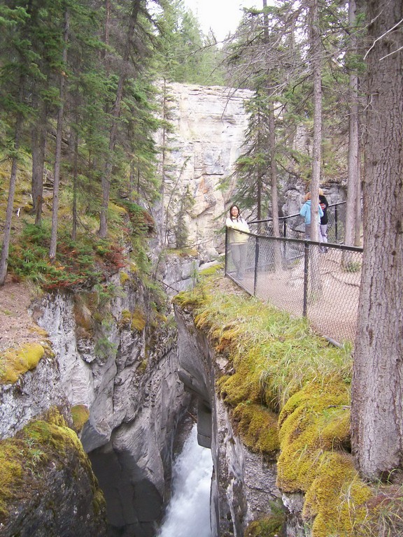 This image has an empty alt attribute; its file name is 100_0498.jpg