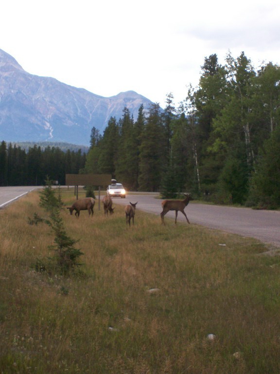 This image has an empty alt attribute; its file name is 100_0583.jpg