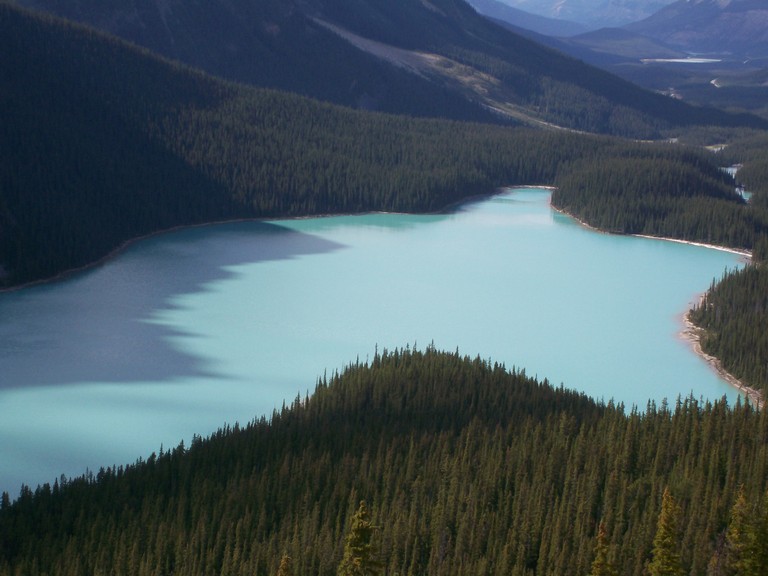 This image has an empty alt attribute; its file name is 100_0602.jpg